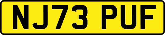 NJ73PUF