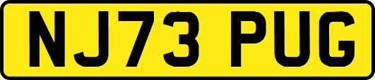 NJ73PUG
