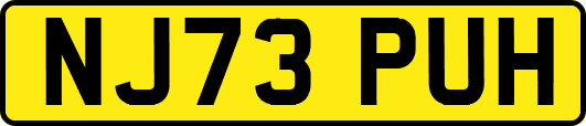 NJ73PUH