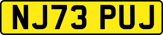 NJ73PUJ