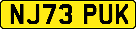 NJ73PUK