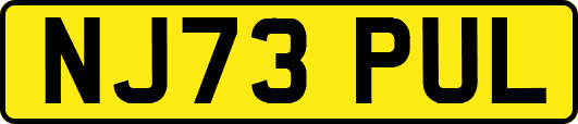NJ73PUL