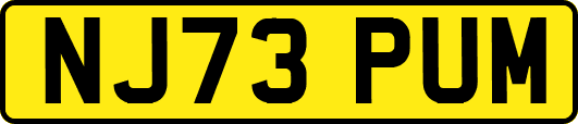 NJ73PUM