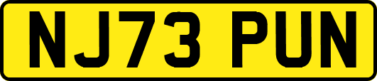 NJ73PUN