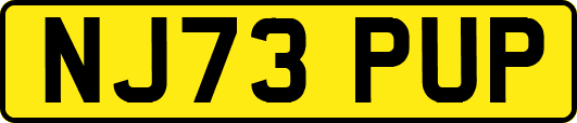 NJ73PUP