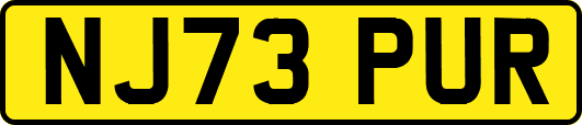 NJ73PUR