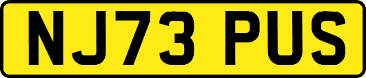 NJ73PUS