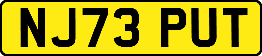 NJ73PUT