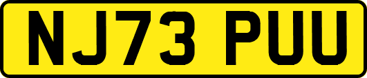 NJ73PUU