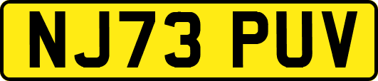 NJ73PUV
