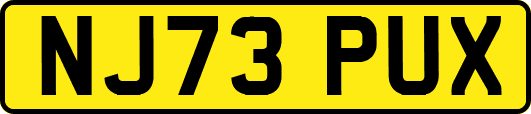NJ73PUX