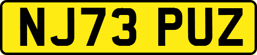 NJ73PUZ