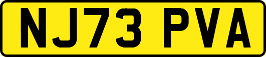 NJ73PVA