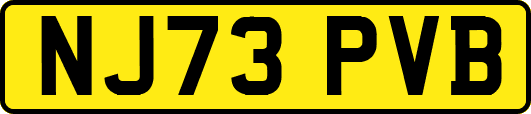 NJ73PVB