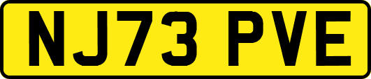 NJ73PVE