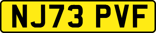 NJ73PVF