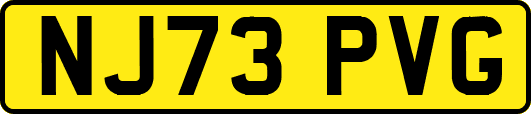 NJ73PVG