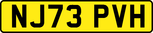 NJ73PVH