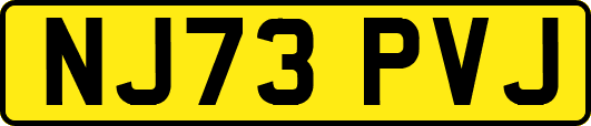 NJ73PVJ