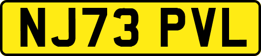 NJ73PVL