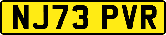 NJ73PVR
