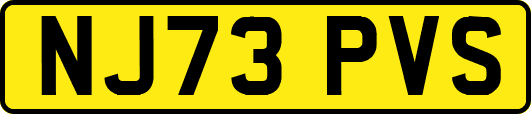 NJ73PVS