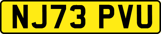 NJ73PVU
