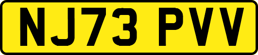 NJ73PVV