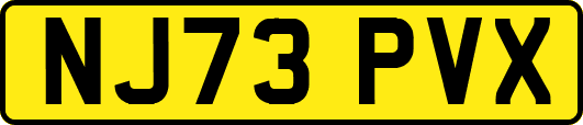 NJ73PVX
