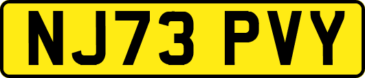 NJ73PVY