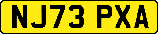 NJ73PXA