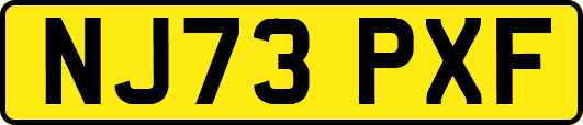 NJ73PXF