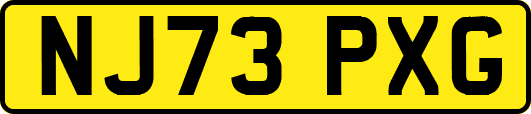 NJ73PXG
