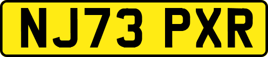 NJ73PXR