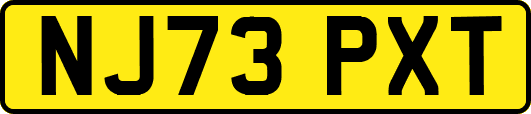 NJ73PXT