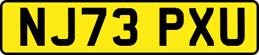 NJ73PXU