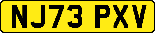 NJ73PXV