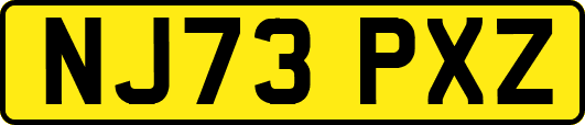 NJ73PXZ