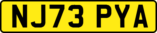 NJ73PYA