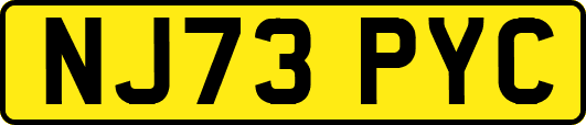 NJ73PYC