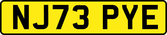 NJ73PYE