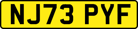 NJ73PYF