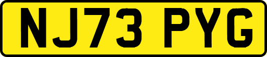 NJ73PYG