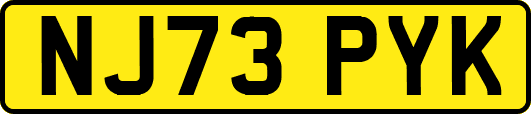 NJ73PYK
