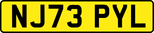 NJ73PYL