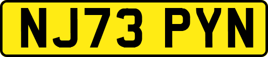 NJ73PYN