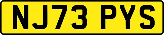 NJ73PYS