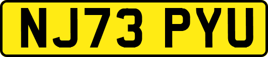 NJ73PYU