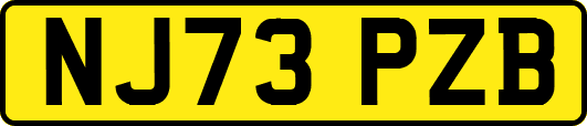 NJ73PZB