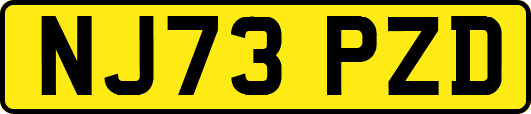NJ73PZD
